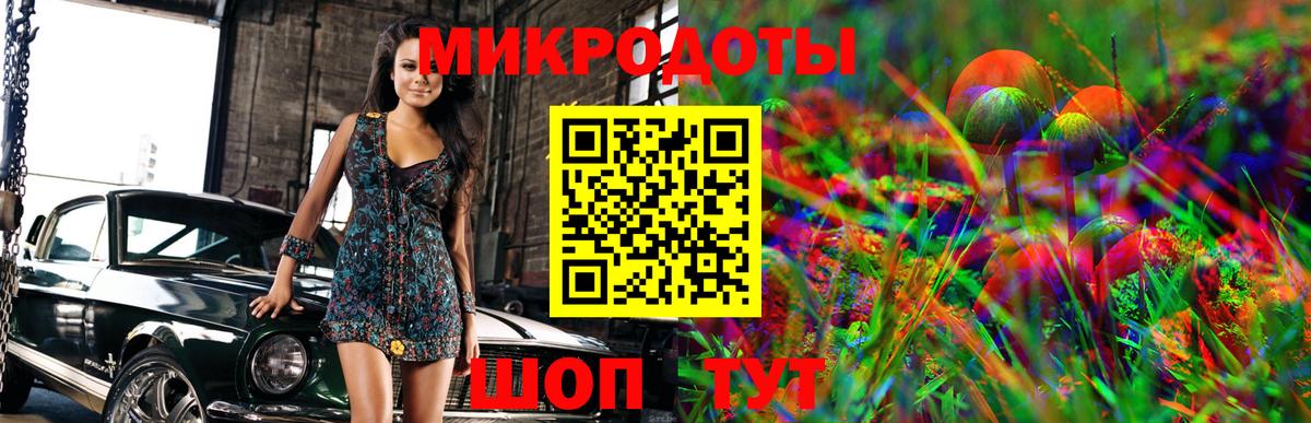Славгород  Галлюциногенные грибы Psilocybine cubensis  Вход с VPN 